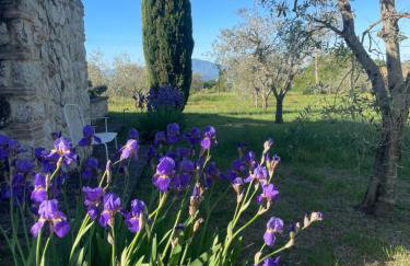 Villa Miranda - Foto 31