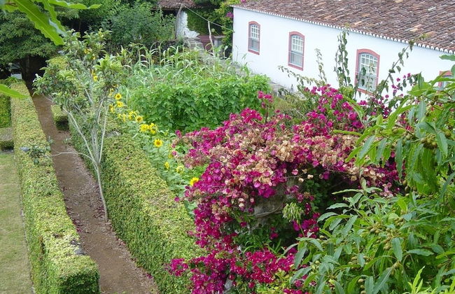 Quinta do Martelo - Photo 35