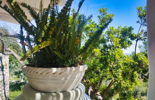 Le Pajare di Marina Serra di Casa Camilla Journey - Foto 67