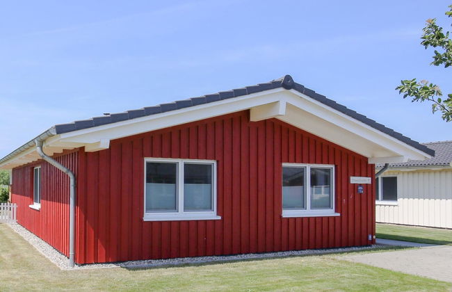 Strandkrabbe - Foto 17