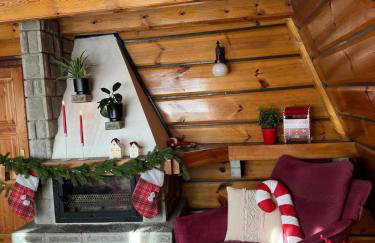 BUKOWA Jezioro Żywieckie Beskid Żywiecki Śląski Sauna Jacuzzi Kominek Morsowanie Tresna Żywiec Szczyrk - Foto 10