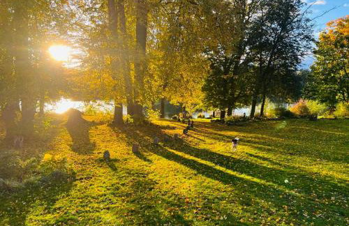 Park Wilkasy - Foto 31