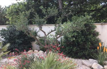 Villa Firenze - Foto 12