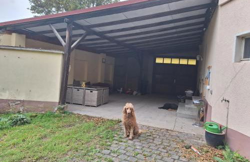 Ferienhaus Herztor - Foto 9