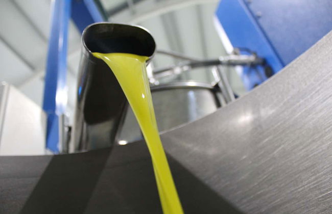 Visita a la fábrica y museo de Aceites Molisur con cata - Foto 7