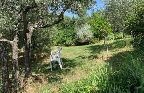 Podere Casallorto - Foto 26