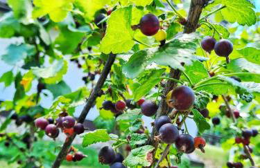 La Mia Storia With Hot tub - Foto 116