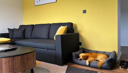 Happy Place am Waldrand - Foto 5