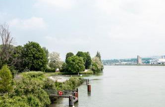 A21 Rhine view condo by the 3-countries-bridge - Foto 24