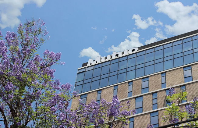 Hotel Mutuo Vive - Foto 38