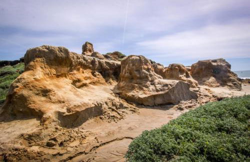 Dolphin Manor - Foto 23