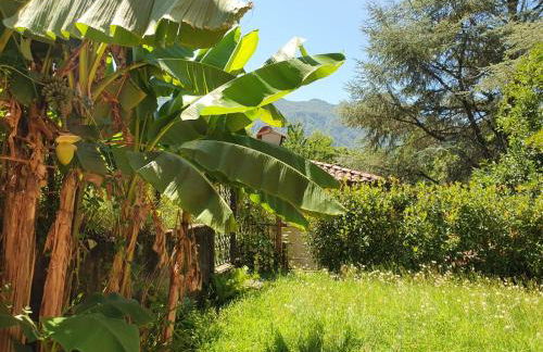 Casa Paradiso - Photo 11