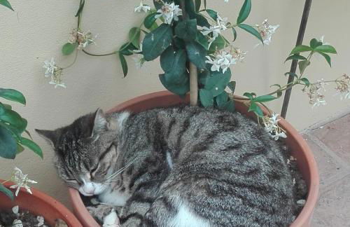 B&B Marana 14 Casa di Campagna - Foto 62