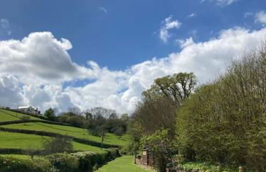 Charming Countryside Cottage Ground Floor Apartment in Combeinteignhead Devon - Foto 39