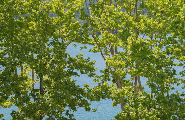 APARTAMENTS LA CARPA - Foto 58