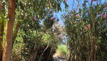 Tritsili house - Foto 4