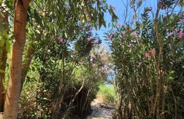 Tritsili house - Photo 4