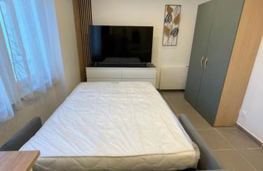 Les lionceaux - Foto 17