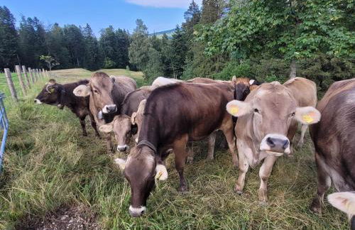Ferienwohnung Seywald - Foto 29