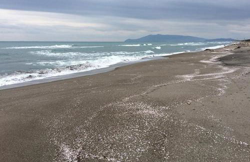 Casa Burano-Relax in Terrazza tra mare e natura - Foto 44