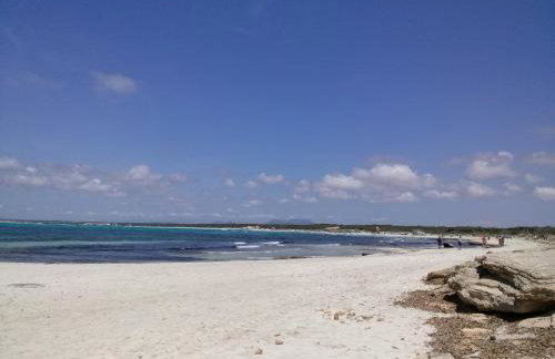 Son Coves Petit - Foto 16