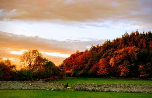 Bruxie Holiday Cottages - Honeysuckle Cottage - Foto 18