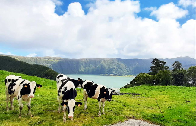 Sete Cidades and Lagoa do Fogo Day Trip - Photo 6