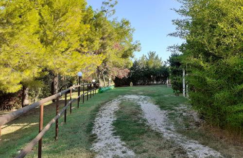 Pier Delle Vigne B&B - Foto 29