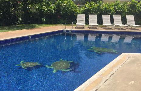 The Turtle Bay Signature - Foto 26