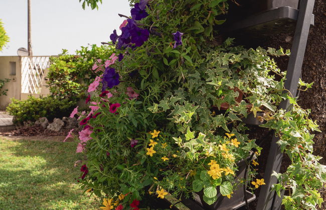 Villa Stelis - Photo 24