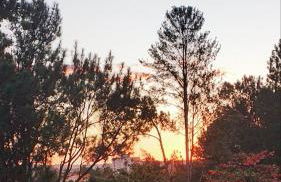 Apartamento Mundi - Império Romano - Caldas Novas - Foto 14