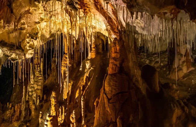 Coyame Caves Excursion - Foto 1