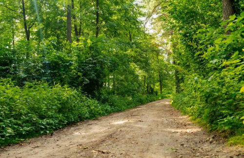 Warmia Resort - Foto 53