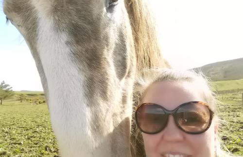 Homeston Lodge - Foto 10