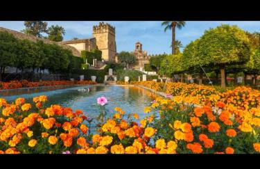 Centro Histórico Mezquita Judería La Preferida - Foto 39