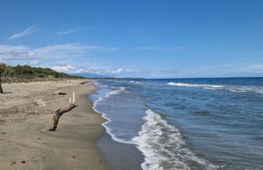 Agapanthe location - Foto 34