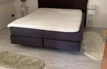 SchöneWohnung mit eigenem Gsrten und Eingang - Foto 7