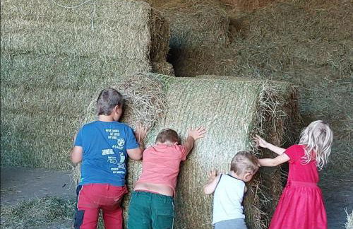 Ferienhof Broger FeWo Bergblickle mit Pool - Foto 26