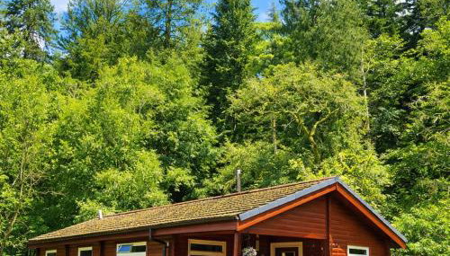 Antler Lodge Traditional Log Cabin - Foto 3