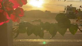 Pousada Monte das Serras - Foto 5