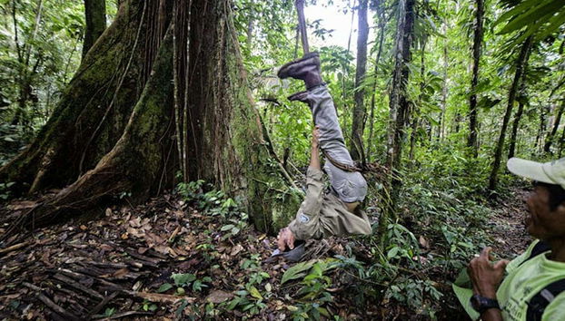 Brincando na floresta