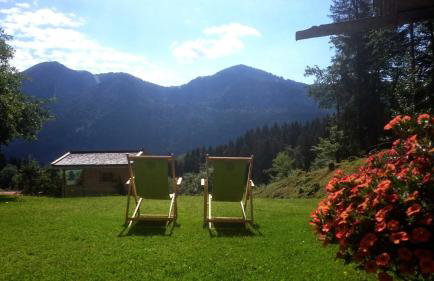 Ferienwohnungen Kimpfbeck, Kreuth-Schärfen - Foto 5