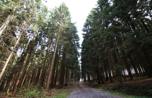 Hygge Apartment - Foto 45