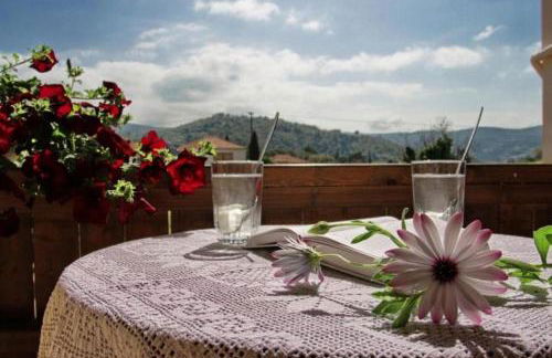 Porto Nirikos Lefkada - Foto 25