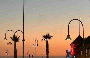 Butterfly Preserve & Sand Dunes STR49 - Foto 23