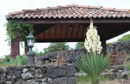 Quinta dos Afectos - Photo 25