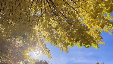 Il Nido Di Montagna - Foto 4