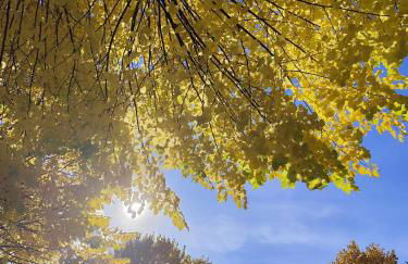 Il Nido Di Montagna - Foto 4