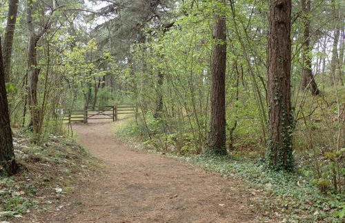 Gîte « Les Oyats » à 400 m de la plage - Foto 47