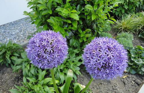 Gasthof Reiterstuben - Foto 5